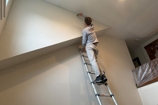 VeltmanPainting__0000s_0003_Photo Nov 11 2025, 9 18 06 AM